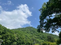 -本溪汤沟绿石谷森林公园