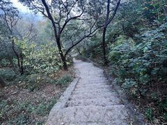 -香山公园
