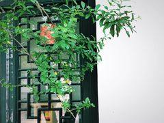 -百花洲