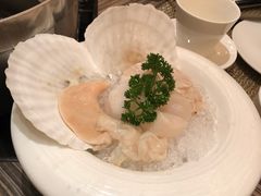 -四季火锅酒家(新濠影汇店)
