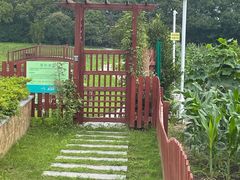 -上膳源有机农场