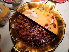 -九鼎轩脆毛肚火锅(三钢里店)