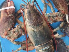 -大东海海鲜酒楼(渔人码头总店)