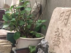 -邊城書店