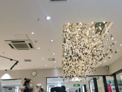 -京世沙龙