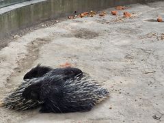 -青藏高原野生动物园