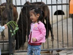 -上海滴水湖皇冠假日酒店