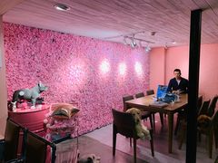 -百好乐宠物友好餐厅(朝外大街店)