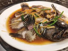 老虎斑-蔚海之都·象山蒸汽海鲜(仙霞路店)