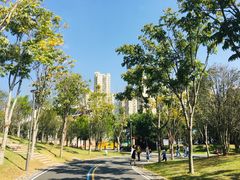 -牛岗山公园