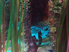 -沈阳海洋探索中心