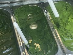 -鹤茶野所(上海首店)
