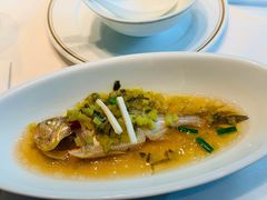 花雕酒仙子鱼-新荣记(南京西路店)