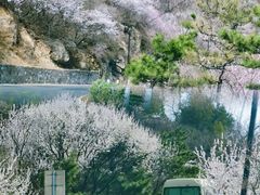 -妙峰山风景名胜区