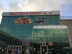 -济州岛泰迪熊博物馆