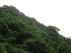 -陕西省红河谷森林公园
