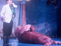 -大连圣亚海洋世界