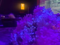 -星聚会KTV(景枫中心店)