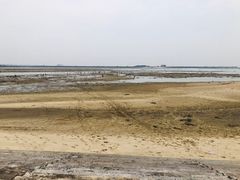 -北海金海湾红树林生态旅游区