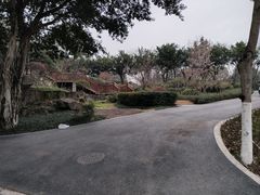 -大渡口区义渡公园