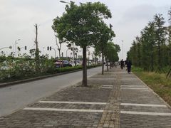 -南汇嘴观海公园