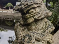 -秋霞圃