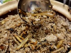 焗黄鳝饭-粤·向群饭店(龙津东路总店)