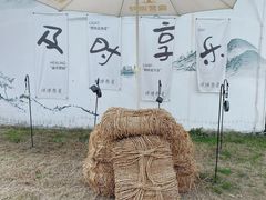 -白塔湖国家湿地公园