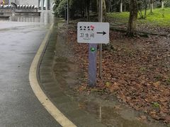 -都江堰中华大熊猫苑