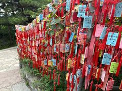 -香山公园