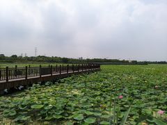 -天津东丽湖风景区