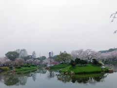 -武汉大学-樱园