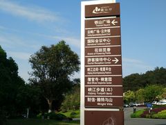 -铁山坪森林公园