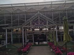 -盈香心动乐园