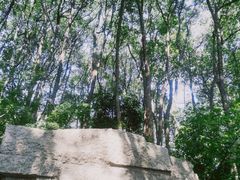 -杭州半山国家森林公园