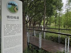 -昆山城市生态森林公园