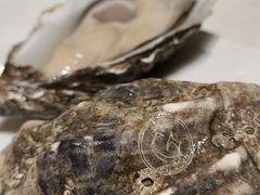 -LONG BAR 廊吧(外滩华尔道夫酒店)