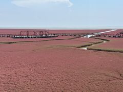 -红海滩国家风景廊道