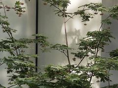 -自如ZSPACE四合院艺术餐厅