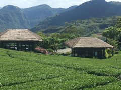 -优游吧斯邹族文化部落