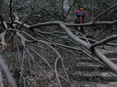 -岳麓山风景名胜区
