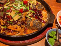 -老板恋上鱼(高新万达店)
