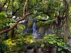 -Chom Cafe and Restaurant