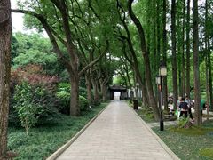 -上海醉白池公园