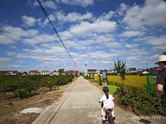 -上海长兴岛郊野公园