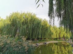 -丰台科技园生态主题公园