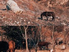 -大渡河峡谷国家地质公园