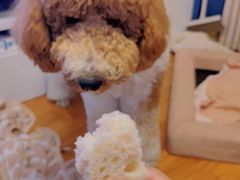 -百年义利(刘家窑店)