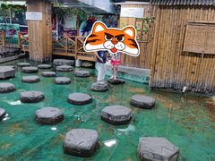 -上海大自然野生昆虫馆(东方明珠·爬宠昆虫探索中心)