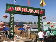 -田趣农庄草莓采摘园